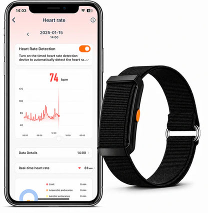 Smart Fitness Wristband